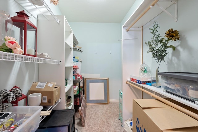 451 Creston Hatchery Rd, Kalispell, MT 59901 - walk in closet with carpet flooring