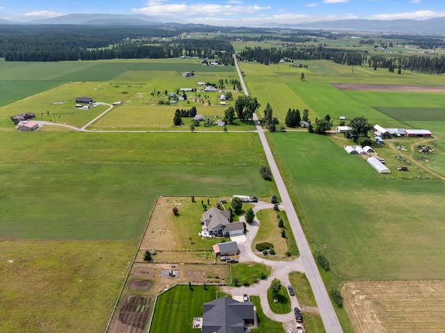 451 Creston Hatchery Rd, Kalispell, MT 59901 - overview of rural landscape featuring a mountain backdrop and rows of crops