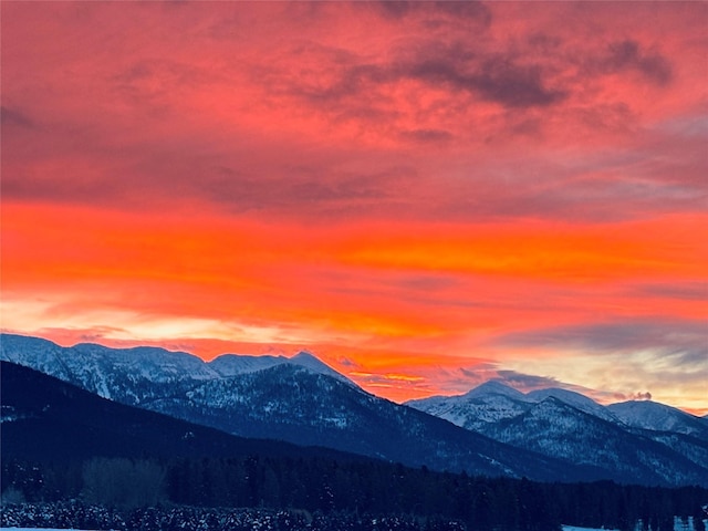 451 Creston Hatchery Rd, Kalispell, MT 59901 - mountain view
