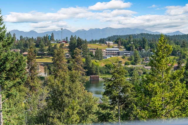 211 Whisper Ridge Dr, Bigfork, MT 59911 - view of mountain backdrop with a large body of water