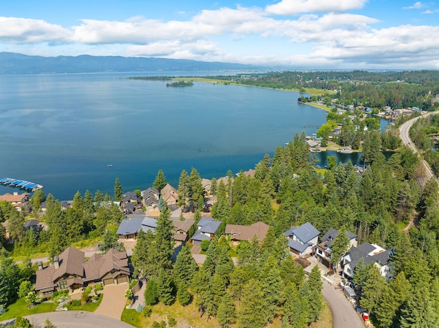 211 Whisper Ridge Dr, Bigfork, MT 59911 - aerial overview of property's location with nearby suburban area and a nearby body of water