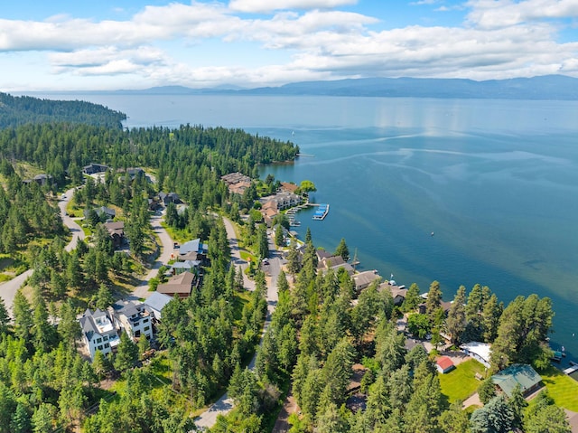 211 Whisper Ridge Dr, Bigfork, MT 59911 - aerial view of a water and mountain view and a forest