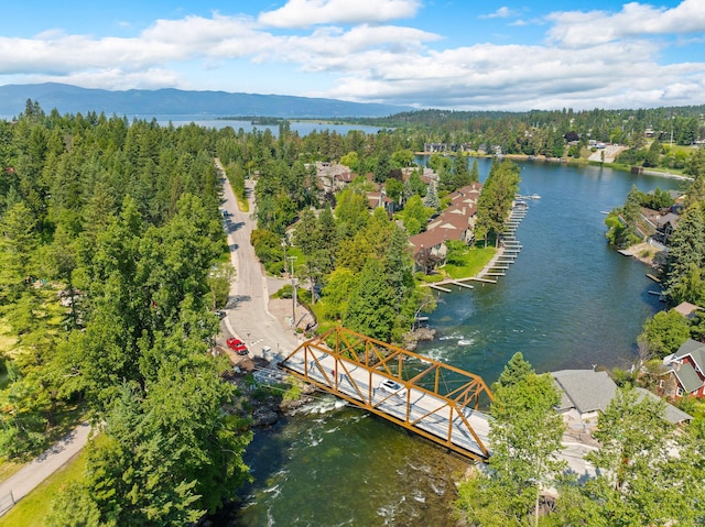 211 Whisper Ridge Dr, Bigfork, MT 59911 - drone / aerial view of a forest and a water and mountain view