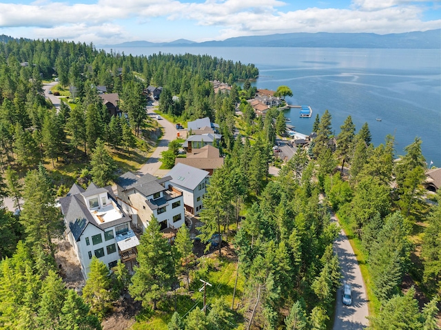 211 Whisper Ridge Dr, Bigfork, MT 59911 - aerial view of a water and mountain view and a heavily wooded area