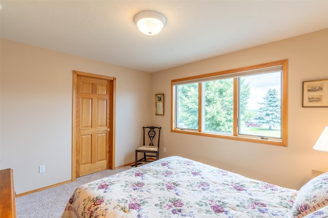 286 Arbour Dr W, Kalispell, MT 59901 - bedroom featuring baseboards and carpet