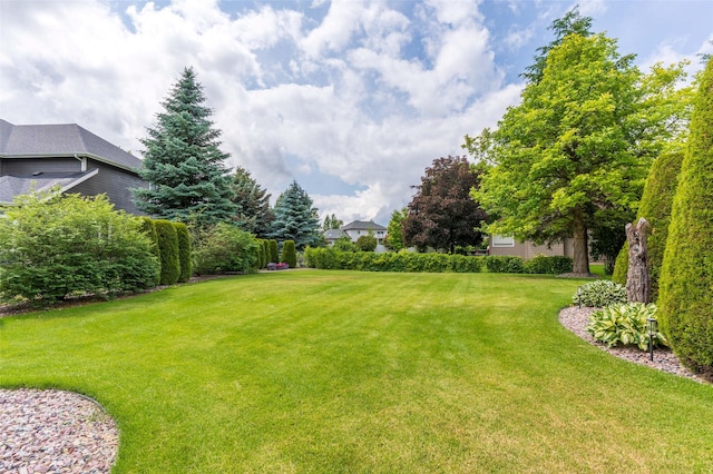 286 Arbour Dr W, Kalispell, MT 59901 - view of green lawn