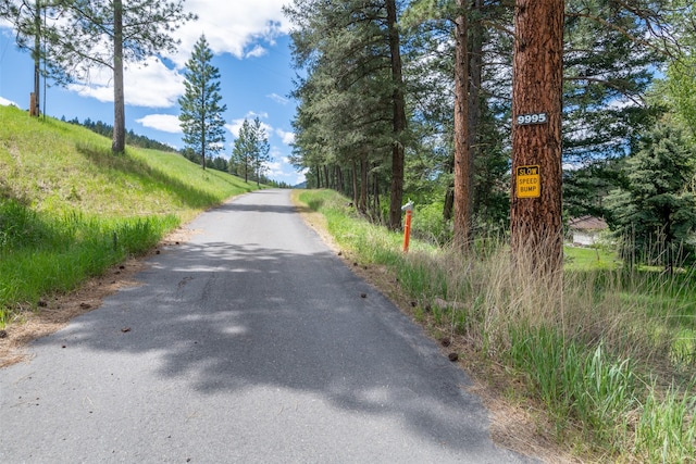 9995 Obrien Creek Rd, Missoula, MT 59804 - view of asphalt street