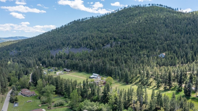 9995 Obrien Creek Rd, Missoula, MT 59804 - view of mountain background featuring a heavily wooded area