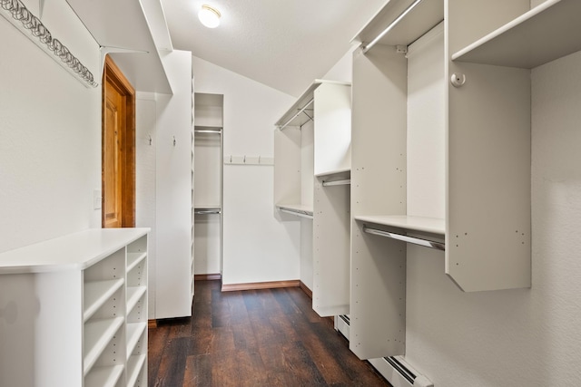 9995 Obrien Creek Rd, Missoula, MT 59804 - walk in closet with dark wood-style floors and lofted ceiling