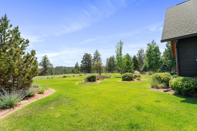 3 Antelope Ct, Clancy, MT 59634 - view of green lawn