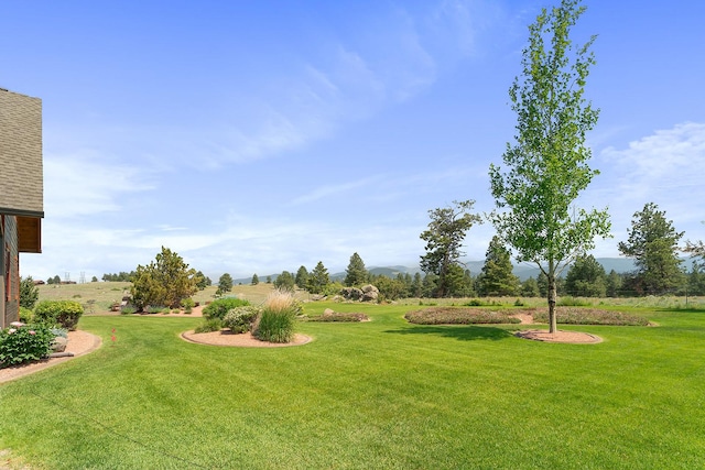 3 Antelope Ct, Clancy, MT 59634 - view of green lawn