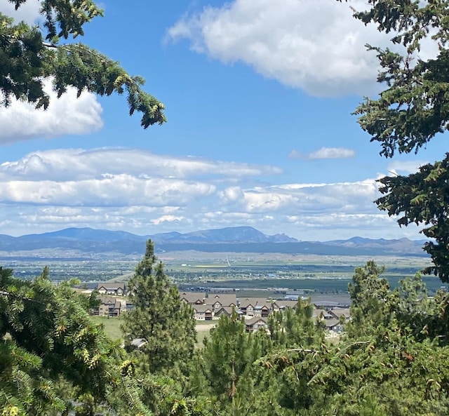 1242 Winscott Ln, Helena, MT 59601