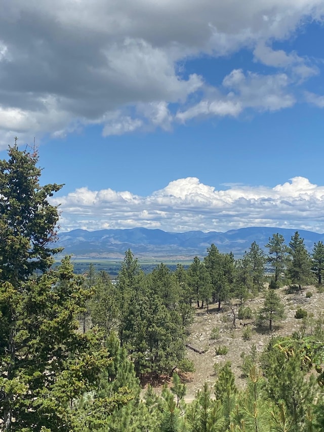 1242 Winscott Ln, Helena, MT 59601