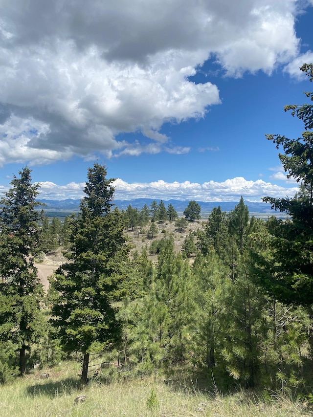 1242 Winscott Ln, Helena, MT 59601