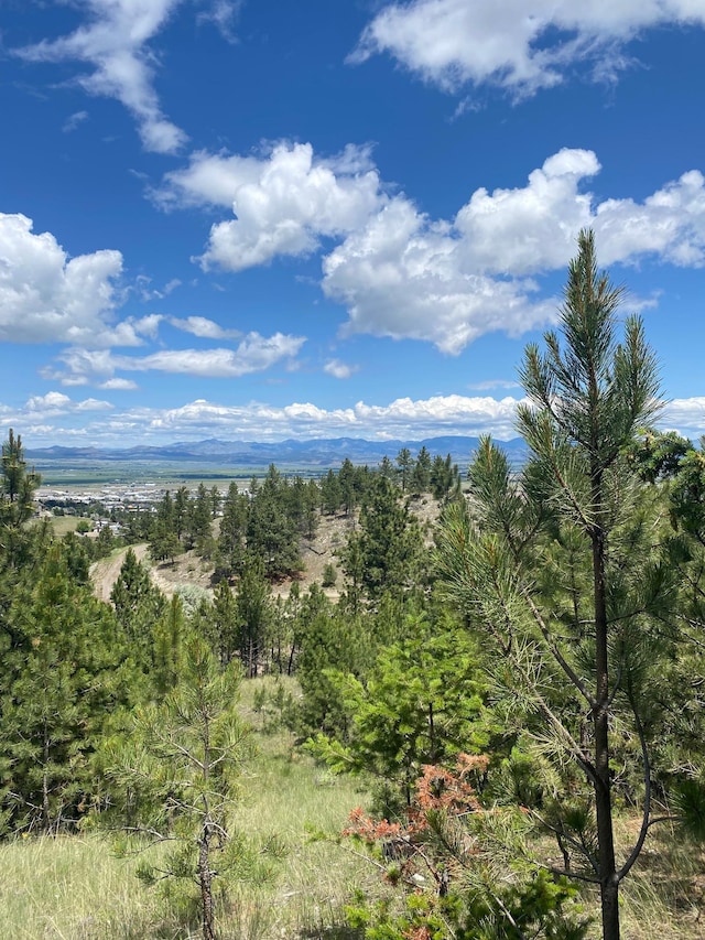 1242 Winscott Ln, Helena, MT 59601