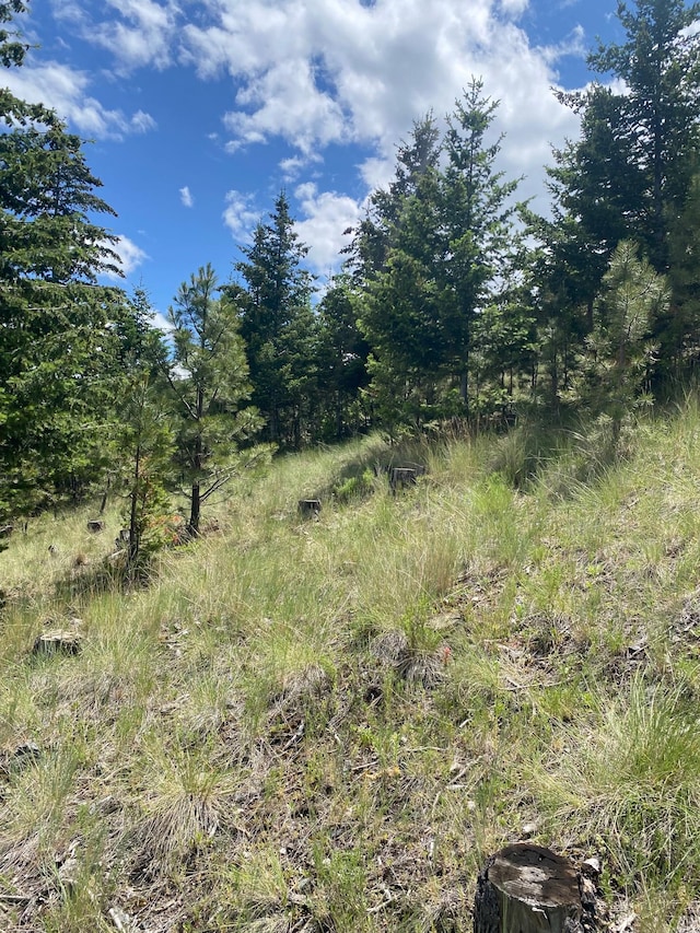 1242 Winscott Ln, Helena, MT 59601