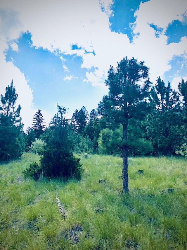 1242 Winscott Ln, Helena, MT 59601