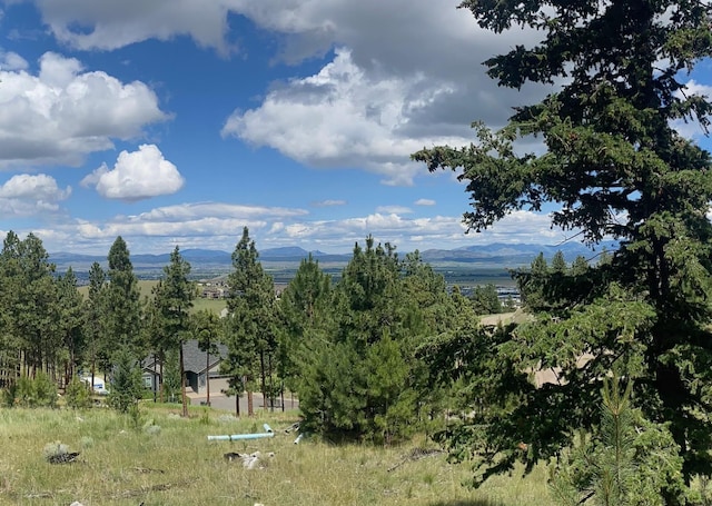 1242 Winscott Ln, Helena, MT 59601