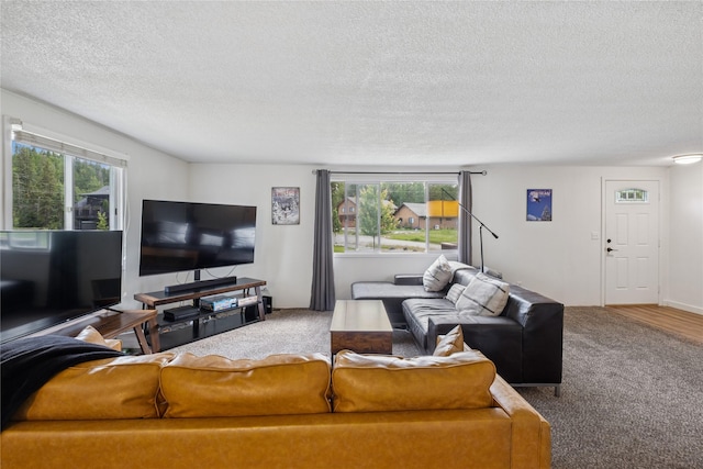 1970 Benchmark Ln, Whitefish, MT 59937 - carpeted living area featuring a textured ceiling and healthy amount of natural light