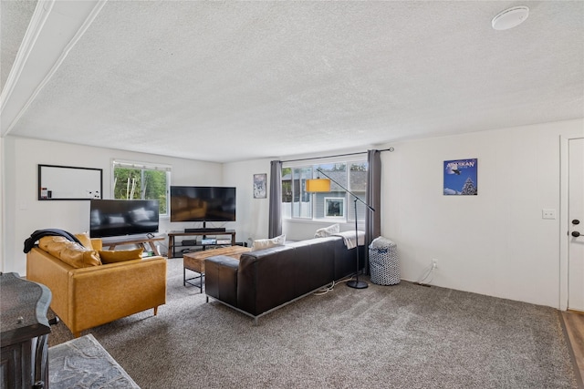1970 Benchmark Ln, Whitefish, MT 59937 - carpeted living room featuring a textured ceiling