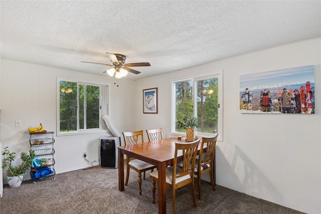1970 Benchmark Ln, Whitefish, MT 59937 - dining room with carpet flooring, healthy amount of natural light, a ceiling fan, and a textured ceiling