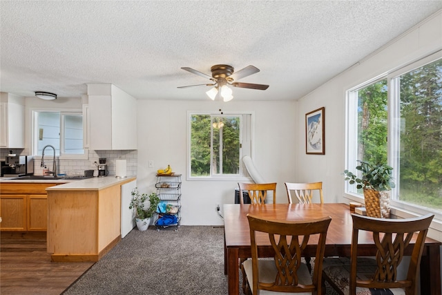 1970 Benchmark Ln, Whitefish, MT 59937 - dining space featuring ceiling fan, healthy amount of natural light, a textured ceiling, and dark colored carpet