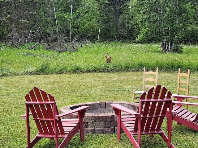 1970 Benchmark Ln, Whitefish, MT 59937 - view of grassy yard