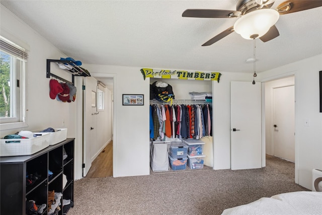 1970 Benchmark Ln, Whitefish, MT 59937 - carpeted bedroom featuring a closet and ceiling fan