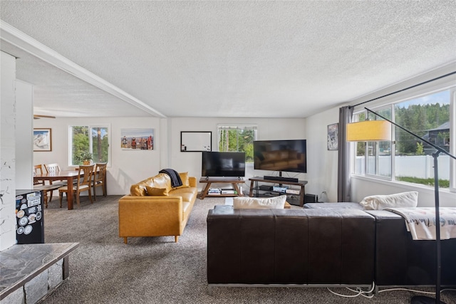 1970 Benchmark Ln, Whitefish, MT 59937 - living area featuring a textured ceiling and carpet floors