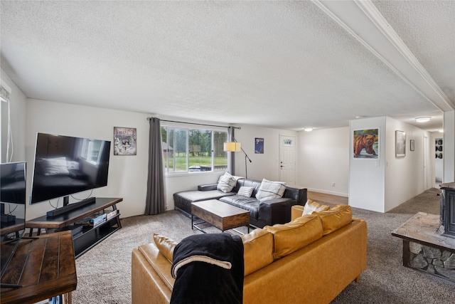 1970 Benchmark Ln, Whitefish, MT 59937 - carpeted living room with a textured ceiling and a wood stove