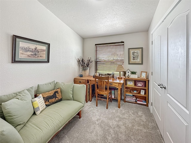 2 Hardy Cir, Ennis, MT 59729 - office space with a textured ceiling and carpet flooring