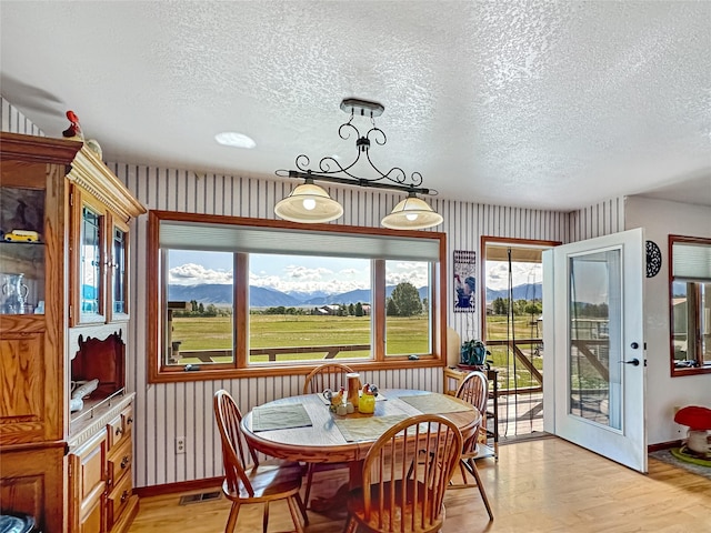 2 Hardy Cir, Ennis, MT 59729 - dining space with a textured ceiling, light wood-style floors, and a mountain view