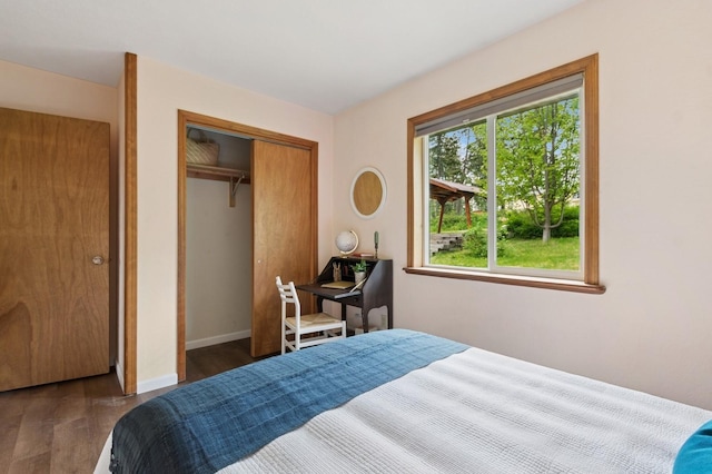 257 Fawn Trl, Whitefish, MT 59937 - bedroom with wood finished floors and a closet