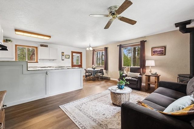 257 Fawn Trl, Whitefish, MT 59937 - living area featuring a wood stove, plenty of natural light, a ceiling fan, and wood finished floors