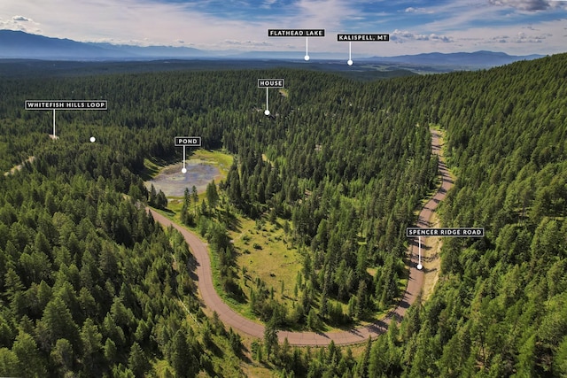 1263 Spencer Ridge Rd, Whitefish, MT 59937 - bird's eye view of mountains