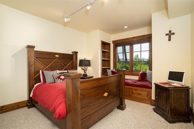 1263 Spencer Ridge Rd, Whitefish, MT 59937 - bedroom with carpet and rail lighting
