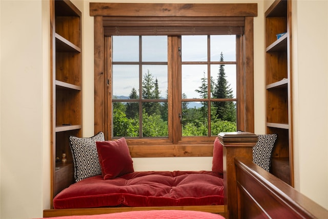 1263 Spencer Ridge Rd, Whitefish, MT 59937 - living area with healthy amount of natural light and built in features