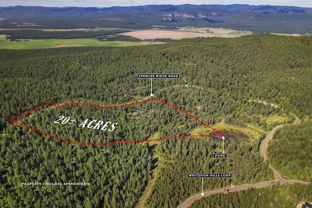 1263 Spencer Ridge Rd, Whitefish, MT 59937 - aerial overview of property's location featuring property boundaries highlighted