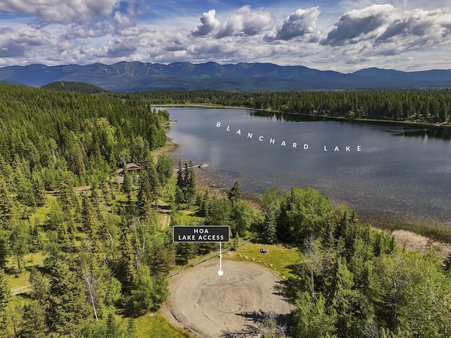 1263 Spencer Ridge Rd, Whitefish, MT 59937 - drone / aerial view of a heavily wooded area and a water and mountain view