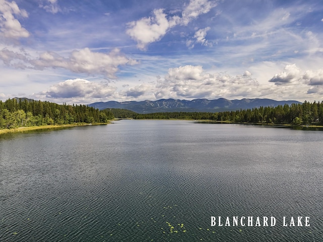 1263 Spencer Ridge Rd, Whitefish, MT 59937 - water view with a forest and a mountainous background