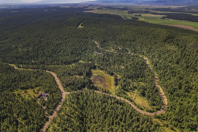 1263 Spencer Ridge Rd, Whitefish, MT 59937 - aerial view of property's location featuring a forest and a mountainous background