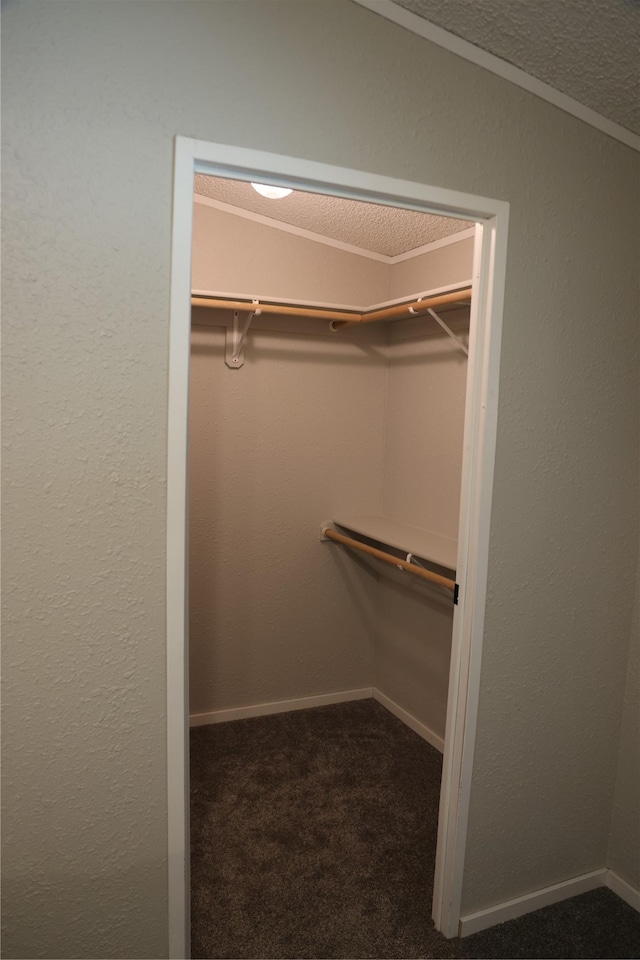 3000 Villard Ave Unit 149, Helena, MT 59601 - walk in closet with carpet flooring