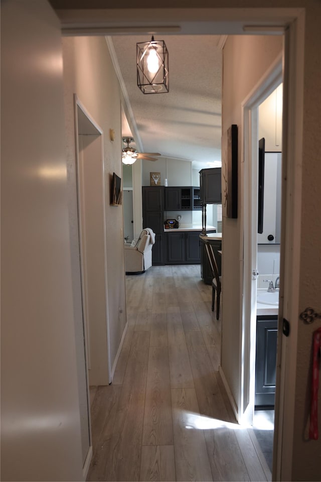 3000 Villard Ave Unit 149, Helena, MT 59601 - hallway featuring light wood-type flooring, a textured ceiling, and ornamental molding