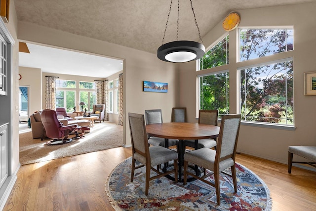 18 Buffalo Hill Cir, Kalispell, MT 59901 - dining room featuring healthy amount of natural light, wood finished floors, and high vaulted ceiling