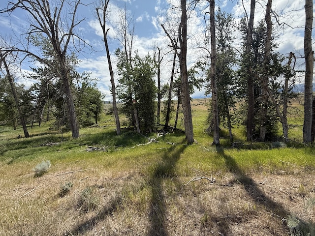 LOT5 Bessie Ln, Stevensville, MT 59870