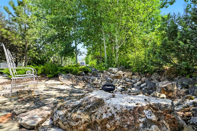 12 Pathfinder Trl, Bozeman, MT 59718 - view of yard