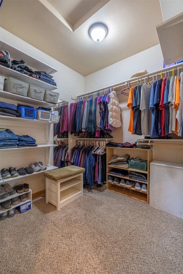 13 Crossfire Dr, Clancy, MT 59634 - walk in closet featuring carpet flooring