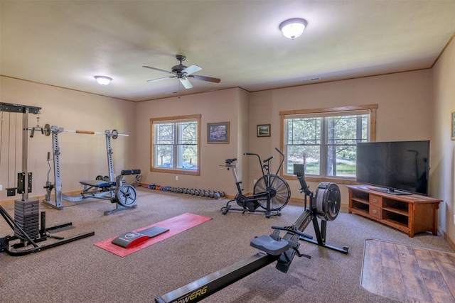 13 Crossfire Dr, Clancy, MT 59634 - exercise room featuring a ceiling fan and carpet