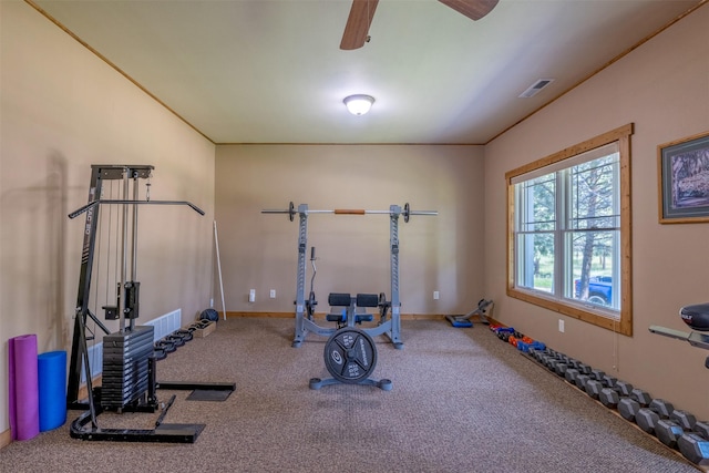 13 Crossfire Dr, Clancy, MT 59634 - exercise room featuring carpet flooring and ceiling fan