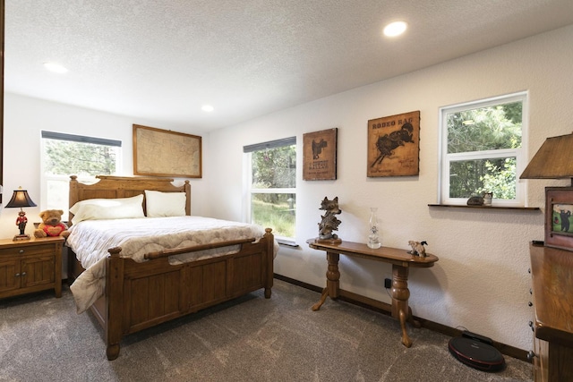 3979 Evenson Ln, Stevensville, MT 59870 - bedroom featuring dark colored carpet, multiple windows, recessed lighting, and a textured ceiling